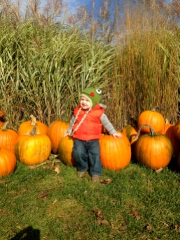 Which pumpkin? Tanner says - I'll take them all
