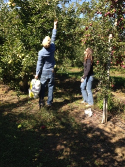 My son and daughter apple picking last fall