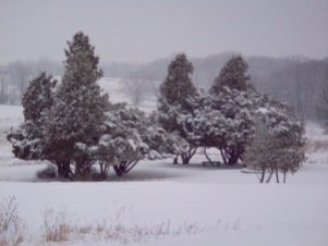 Saratoga National Park on a snowy day